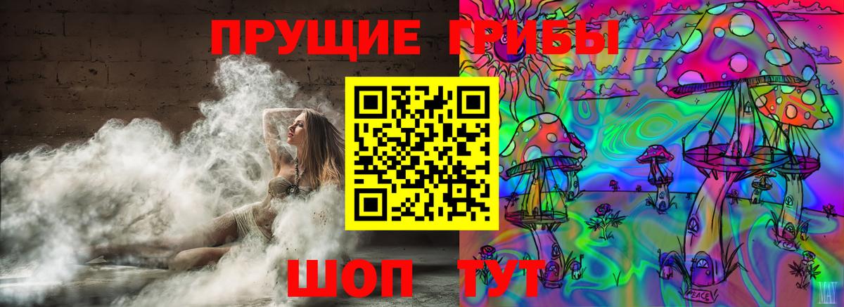 Псилоцибиновые грибы Psilocybe  Вход с VPN  Людиново 